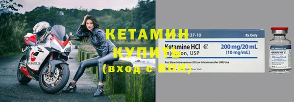 шишки Болотное