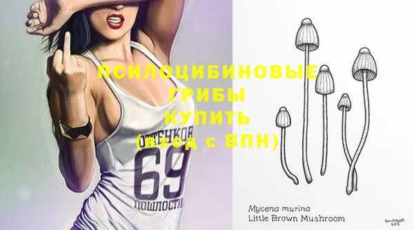 твердый Болхов