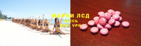 шишки Болотное