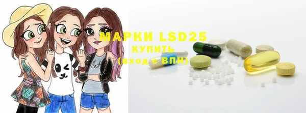 шишки Болотное