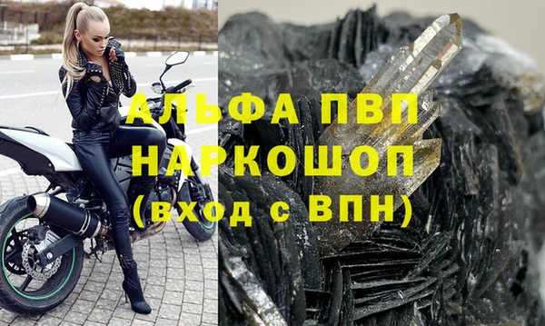 шишки Болотное