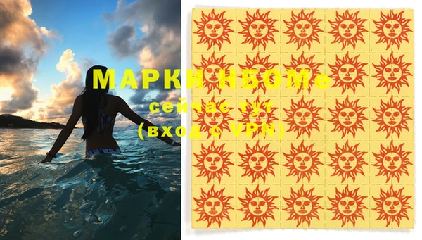 шишки Болотное