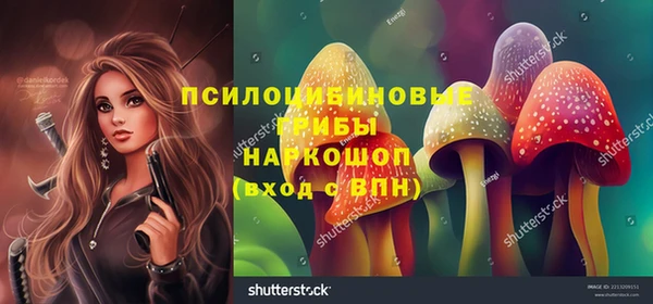 дживик Чегем