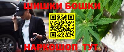 индика Ливны