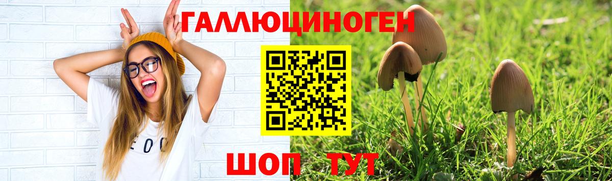 Псилоцибиновые грибы Magic Shrooms  Вход с VPN  Псилоцибиновые грибы Magic Shrooms  Махачкала 