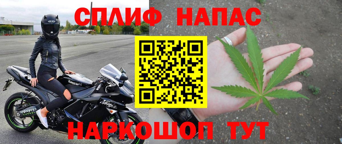 Конопля AK-47 Махачкала